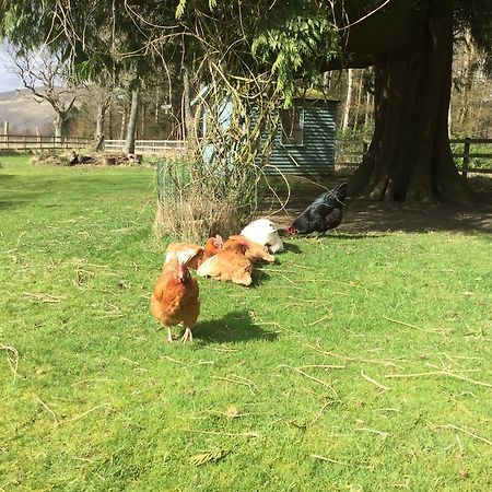 Kennels Cottage スターリング エクステリア 写真